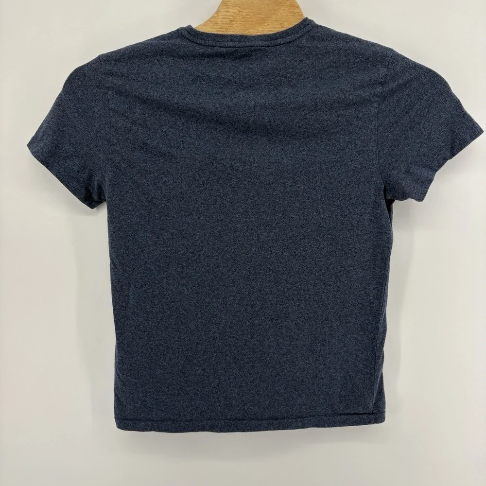 Polo Ralph Lauren Men's Medium T-Shirt V-Neck  Blue Heather Red Pony